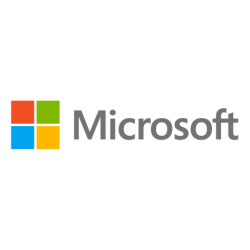 Microsoft Partner Logo